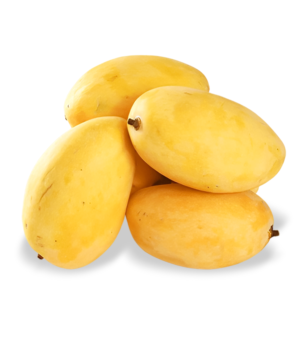 Chaunsa