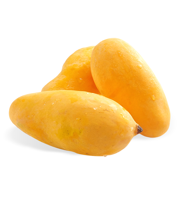 Sindhri