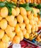 Top 12 Mango Varieties You Need to Know About