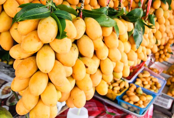 MangoTypes